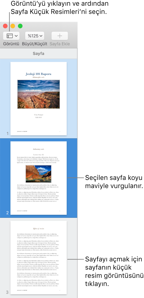 Sayfa Küçük Resimleri görüntüsü açık ve seçili sayfa koyu mavi ile vurgulanmış Pages penceresinin sol tarafındaki kenar çubuğu.