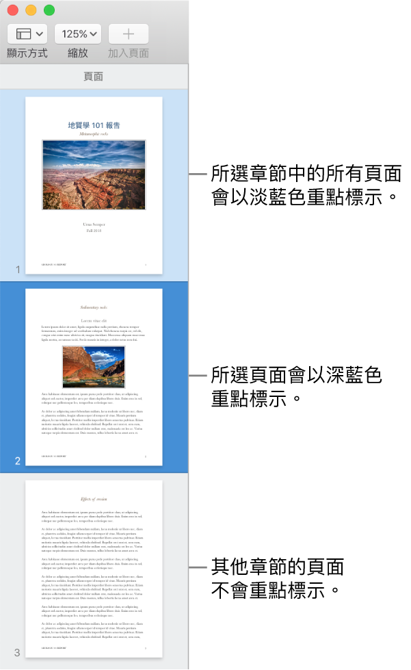 「縮圖顯示方式」側邊欄，所選取的頁面以深藍色重點標示，所選擇章節中的全部頁面則以淺藍色重點標示。