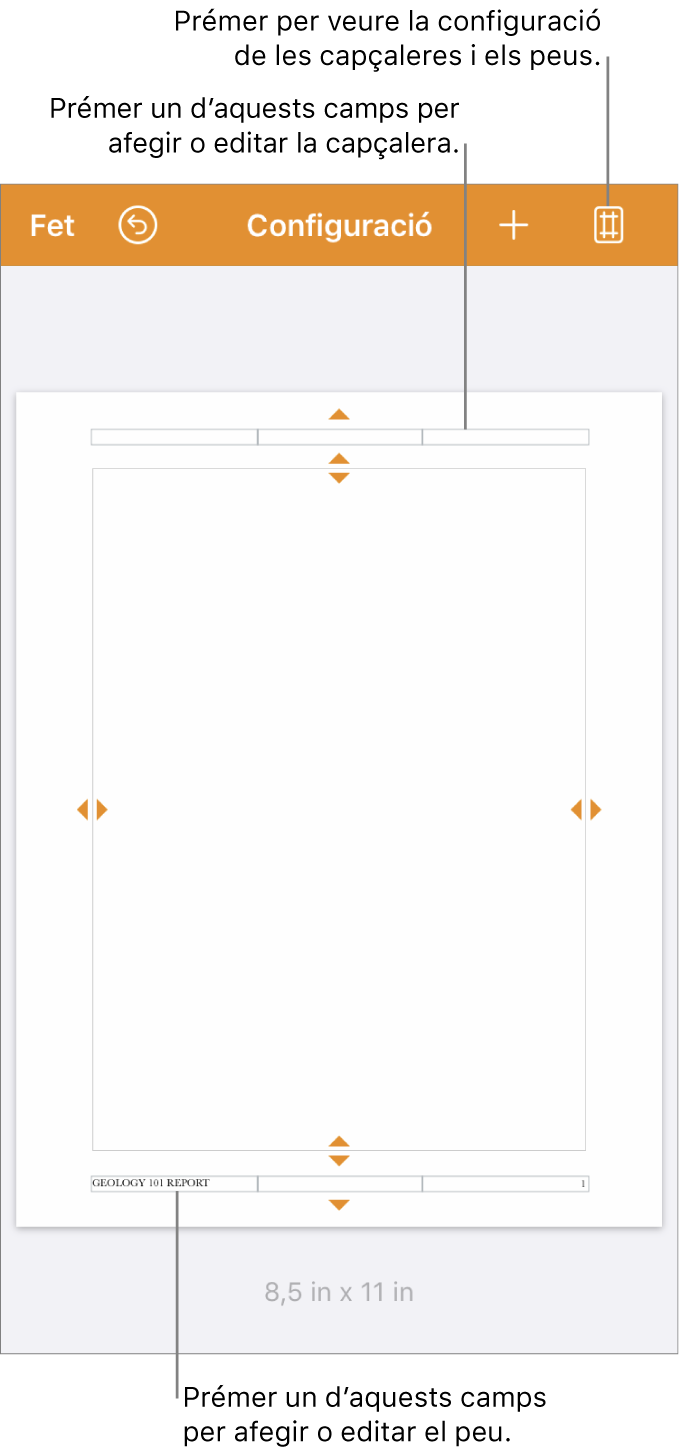 Vista “Configuració del document” amb tres camps a la part superior i inferior del document.