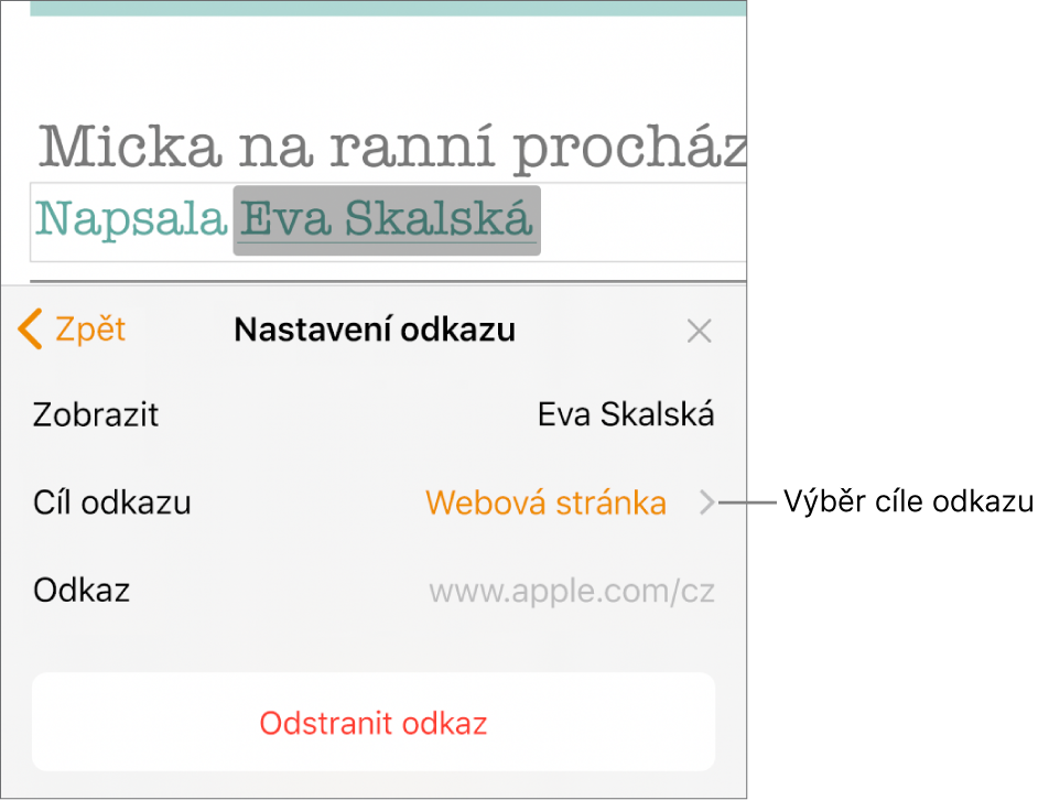 Ovládací prvky Nastavení odkazu s polem Zobrazit, volbou Cíl odkazu (s nastavením Webová stránka) a s polem Odkaz. Ve spodní části ovládacích prvků se nachází tlačítko Odstranit odkaz.