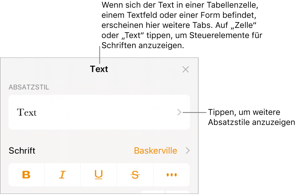 Das Menü „Format“ mit Textsteuerelementen zum Festlegen von Absatz- und Zeichenstilen, Schrift, Größe und Farbe