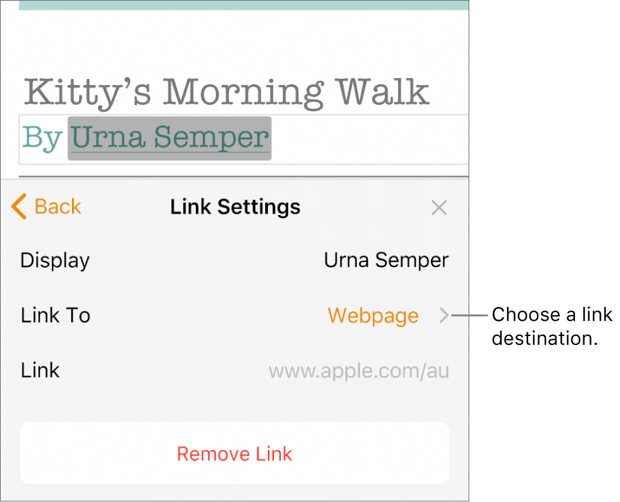 The Link Settings controls with a Display field, Link To (set to Webpage) and Link field. The Remove Link button is at the bottom of the controls.