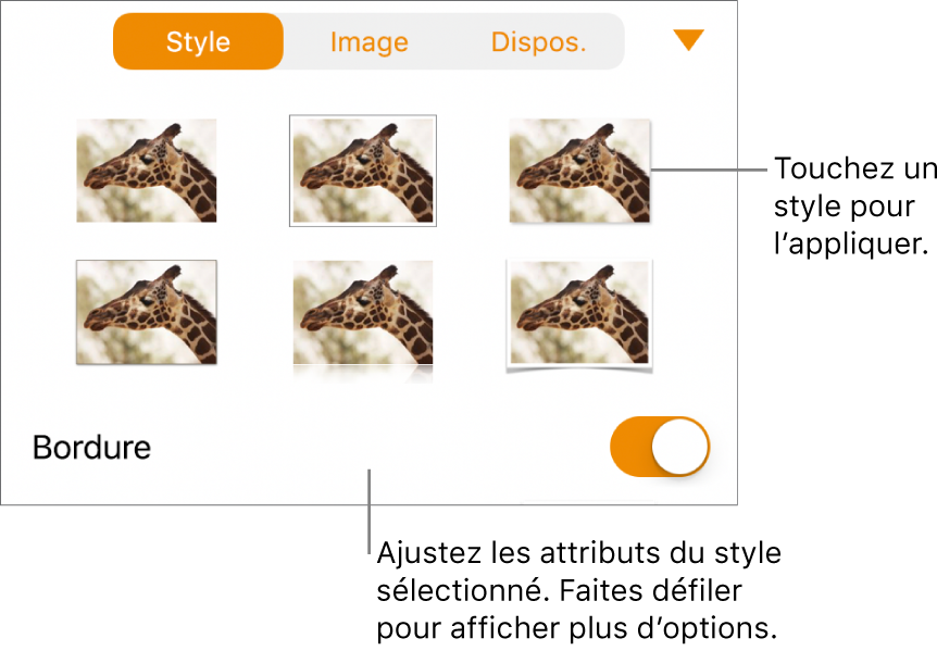 Onglet Style du menu Format avec des styles d’objet en haut et, en dessous, une commande de modification de bordure.