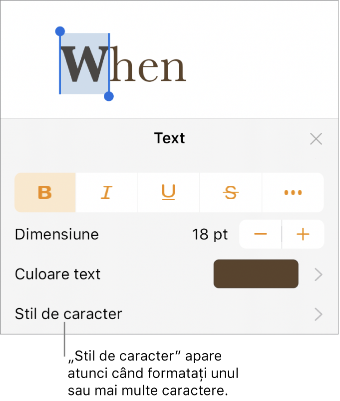 Comenzile de formatare Text cu Stil de caracter sub comenzile Culoare. Stilul de caracter Nimic apare cu un asterisc.