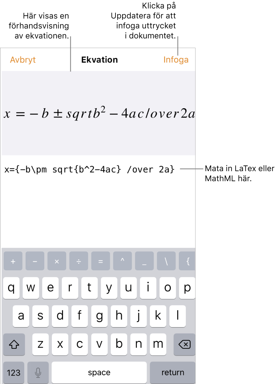 Dialogrutan Ekvation med den kvadratiska formeln som skrivits med LaTeX-kommandon och en förhandsvisning av formeln ovanför den.