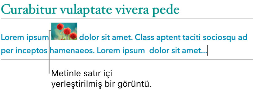 Görüntü, metinle satır içi olarak yerleştirilir.