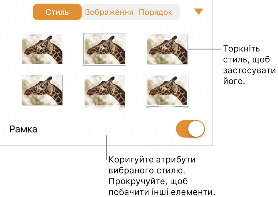 Вкладка «Стиль» в меню «Формат» зі стилями об’єктів вгорі та елемент керування для змінення меж внизу.