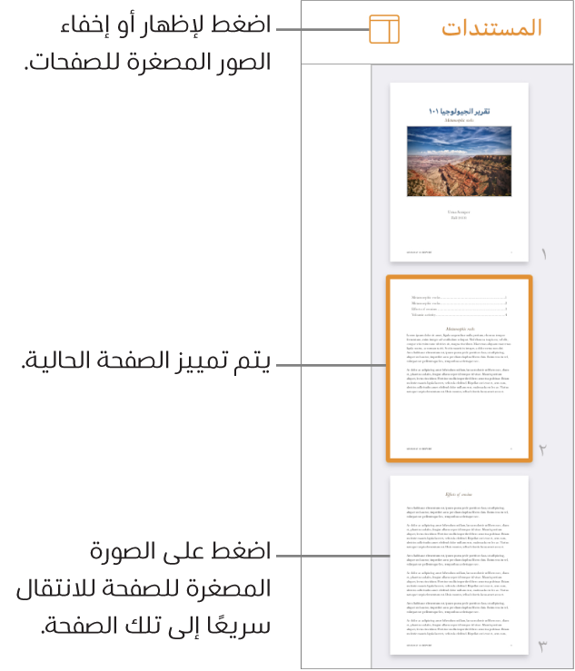 عرض الصور المصغرة للصفحات على الجانب الأيمن من الشاشة مع صفحة واحدة محددة. يظهر زر خيارات العرض أعلى الصور المصغرة.