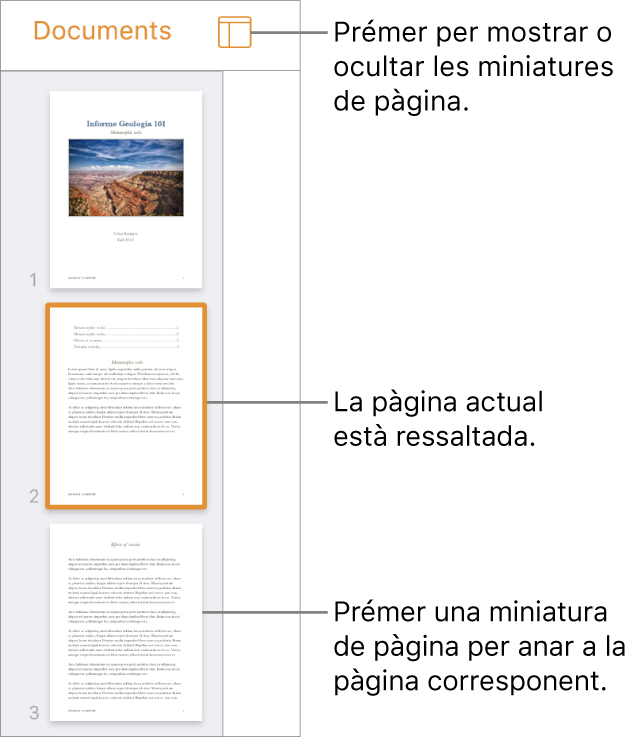 Vista “Miniatures de pàgina” a la part esquerra de la pantalla amb una pàgina seleccionada. El botó “Opcions de visualització” a sobre de les miniatures.
