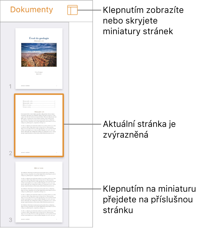 Zobrazení miniatur stránek na levé straně obrazovky s jednou vybranou stránkou. Nad miniaturami se nachází tlačítko Volby vzhledu.