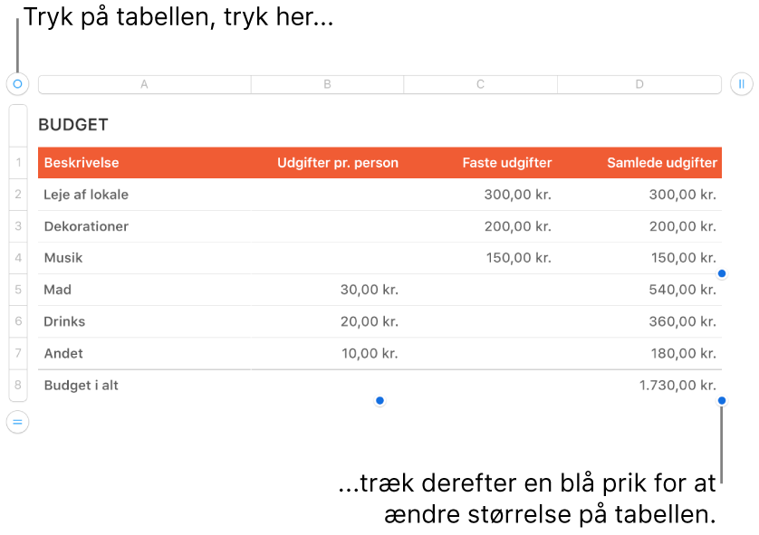 En valgt tabel med blå prikker til ændring af størrelse.