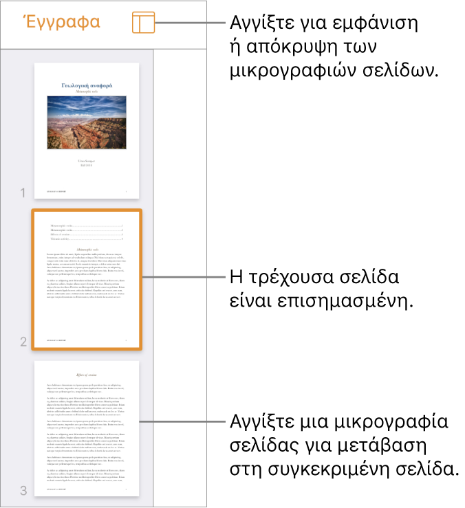 Προβολή μικρογραφιών σελίδων στην αριστερή πλευρά της οθόνης με μία επιλεγμένη σελίδα. Το κουμπί «Επιλογές προβολής» βρίσκεται πάνω από τις μικρογραφίες.