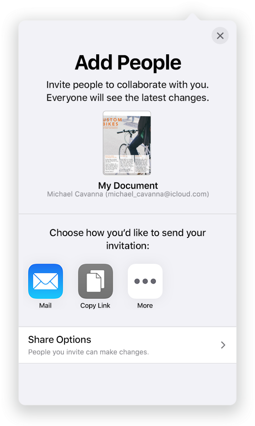 The Add People screen showing a picture of the document to be shared. Below it are buttons for ways to send the invitation, including Mail, Copy Link and More. At the bottom is the Share Options button.