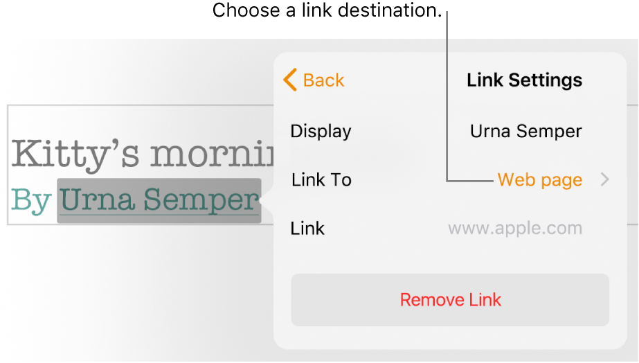 The Link Settings pop-over with a Display field, Link To (set to Web page) and Link field. The Remove Link button is at the bottom of the pop-over.