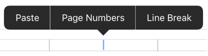 Header pop-up for adding page numbers.