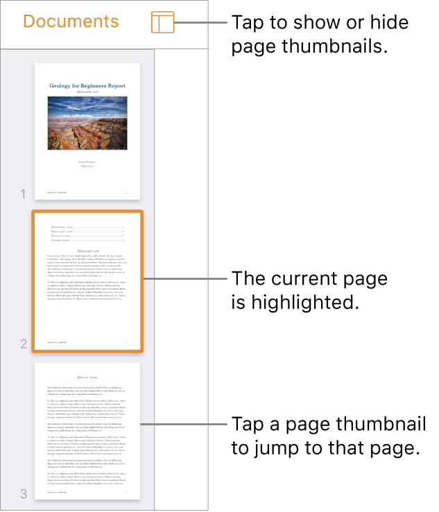 Page Thumbnails view on the left side of the screen with a two-page section, a separator line, then one page of the next section. The View button is above the thumbnails.