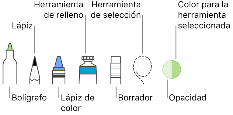Las herramientas de dibujo con un bolígrafo, lápiz, lápiz de color, relleno, borrador, herramienta de selección y paleta, que muestra el color actual.