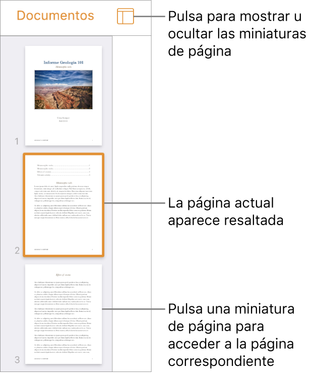 Visualización de miniaturas de página en el lado izquierdo de la pantalla con una página seleccionada. El botón “Opciones de visualización” está encima de las miniaturas.