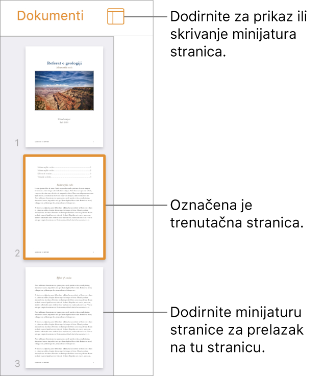 Prikaz minijatura stranica s lijeve strane zaslona s jednom odabranom stranicom. Tipka Opcije prikaza nalazi se iznad minijatura.