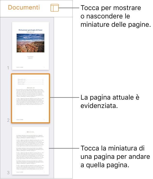 Vista “Miniature pagina” sulla sinistra dello schermo con una sezione di due pagine, una linea separatrice, quindi una pagina della sezione successiva. Pulsante di visualizzazione che si trova sopra le miniature.