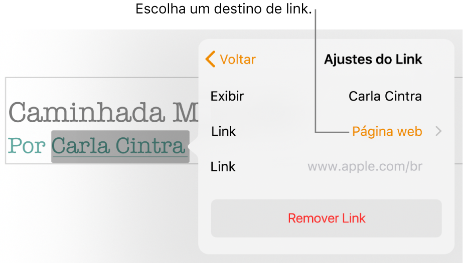 Popover “Ajustes do Link” com o campo Exibir, Link (definido como Página web) e o campo Link. O botão Remover Link está na parte inferior do popover.