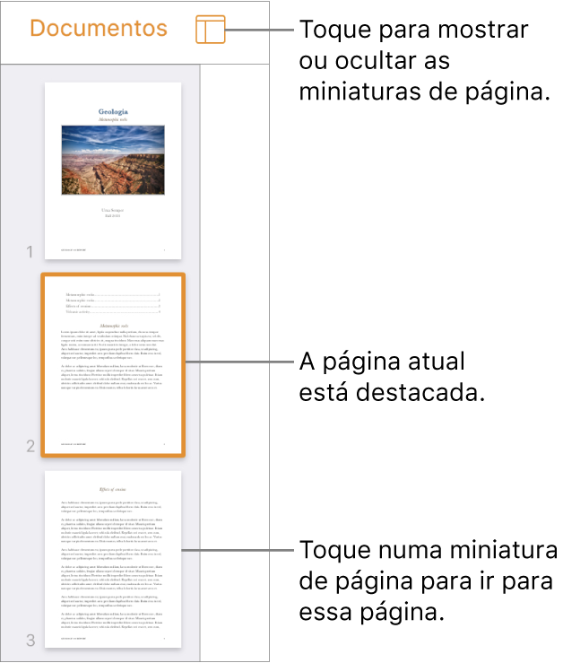 A vista de miniaturas das páginas no lado esquerdo do ecrã com uma página selecionada. O botão Opções de visualização está por cima das miniaturas.