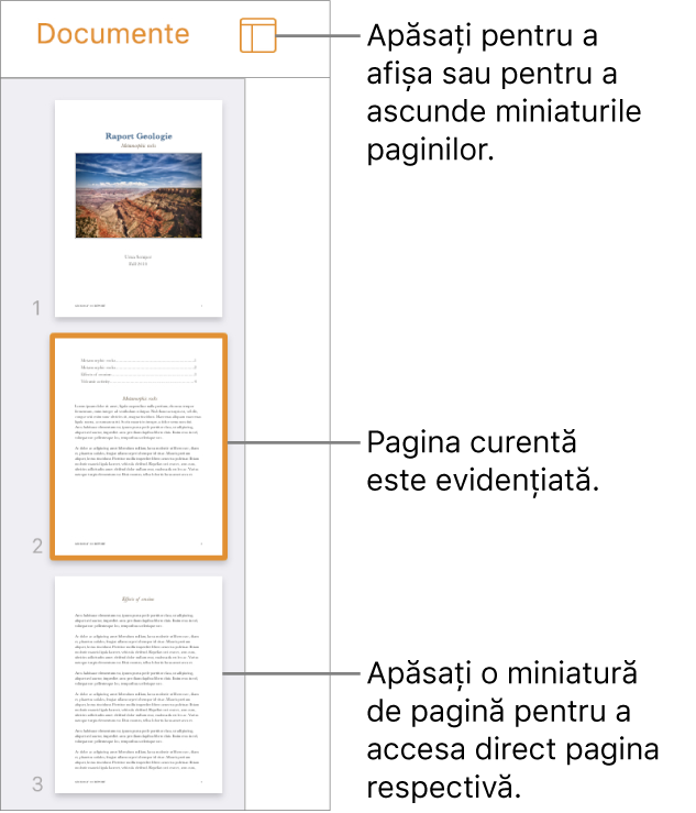 Vizualizarea Miniaturi pagini în partea stângă a ecranului, având selectată o pagină. Butonul Opțiuni de afișare se află deasupra miniaturilor.