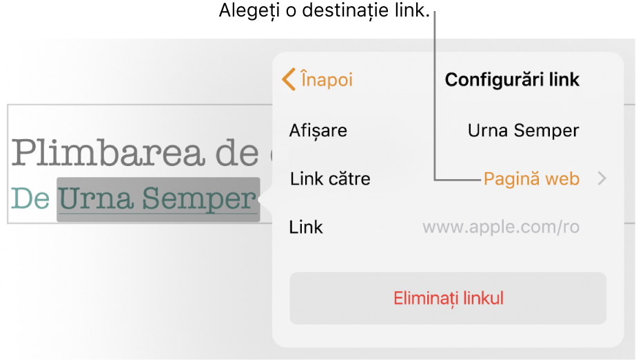 Pop-overul Configurări link cu un câmp Afișare, Link către (configurat la Pagină web) și câmpul Link. În partea de jos a pop-overului se află butonul Eliminați linkul.