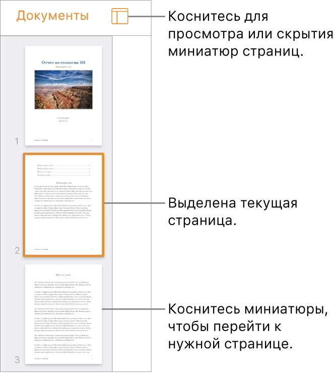 Панель «Миниатюры страниц» в левой части экрана. Показаны: раздел, состоящий из двух страниц, разделительная линия и одна страница следующего раздела. Кнопка «Вид» расположена над миниатюрами.