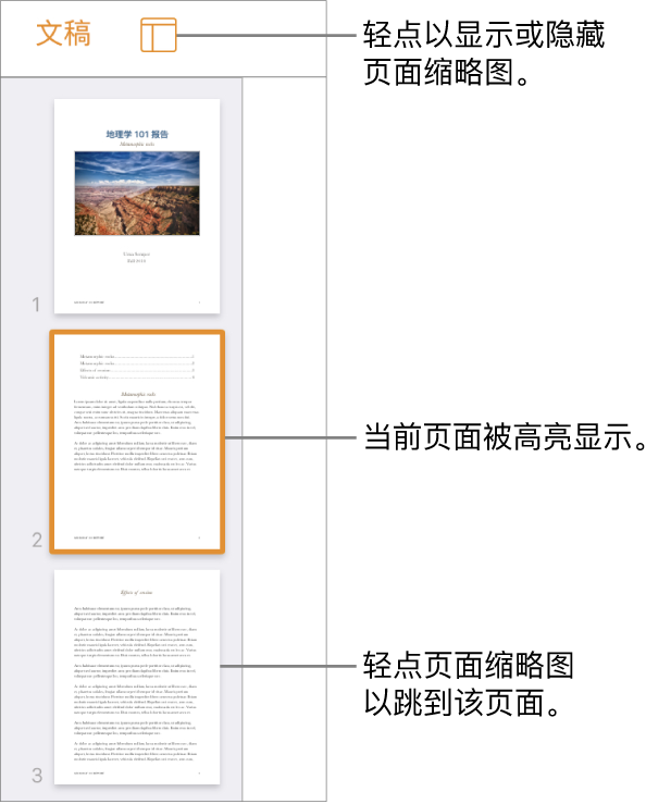 屏幕左侧的“页面缩略图”视图带有一个两页的节、分隔线，然后是下一个节的其中一页。“显示”按钮位于缩略图的上方。