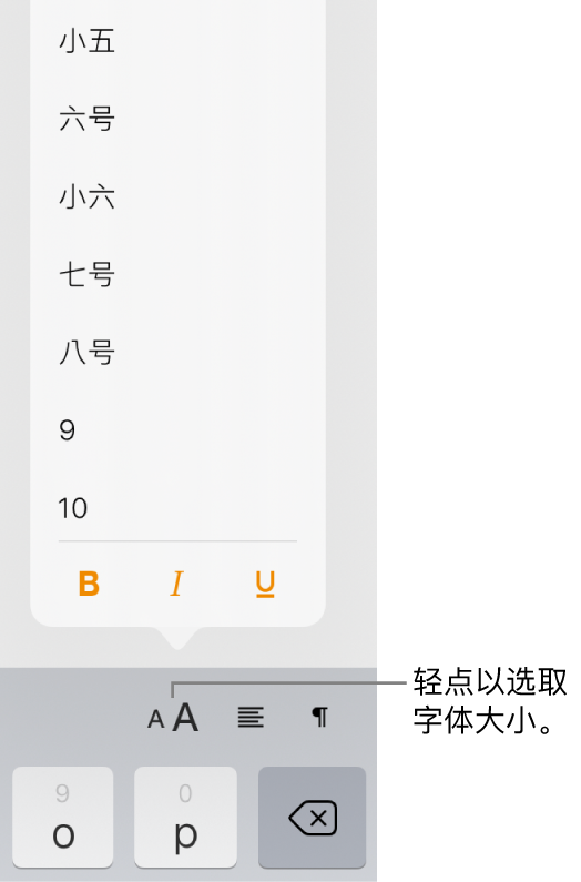 iPad 键盘右侧的“字体大小”按钮，其中“字体大小”菜单已打开。中国大陆政府标准字号显示在菜单顶部，点值位于下方。