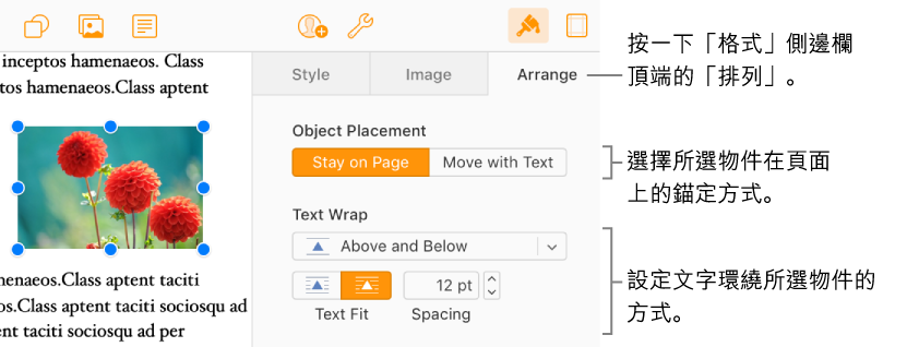 在文件內文中選取了影像，「格式」側邊列中的「排列」面板上，顯示了物件設定為「停留在頁面上」，而文字環繞於物件上方與下方。
