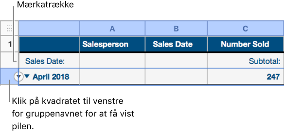 Oversigtsrækken er valgt i en kategoriseret tabel, og der vises en pil ned på rammen. Mærkerækken oven over oversigtsrækken viser navnet på kategorien oven over gruppenavnet og navnet på en funktion, Subtotal, i den tredje kolonne.