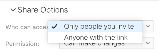 “有权访问的用户”弹出式菜单设置为“仅受邀人”。