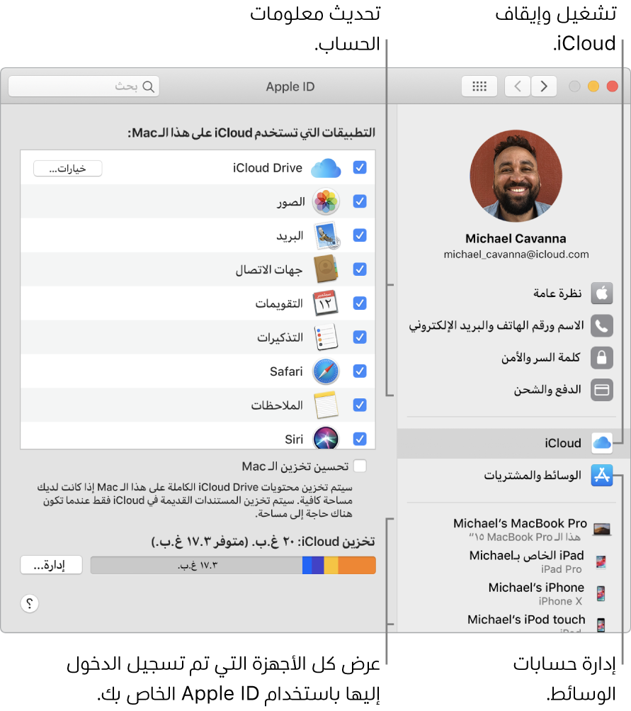 جزء Apple ID في تفضيلات النظام. انقر على عنصر في الشريط الجانبي لتحديث معلومات حسابك وتشغيل iCloud أو إيقافه وإدارة حسابات الوسائط وعرض جميع الأجهزة التي سجلت الدخول عليها باستخدام Apple ID.