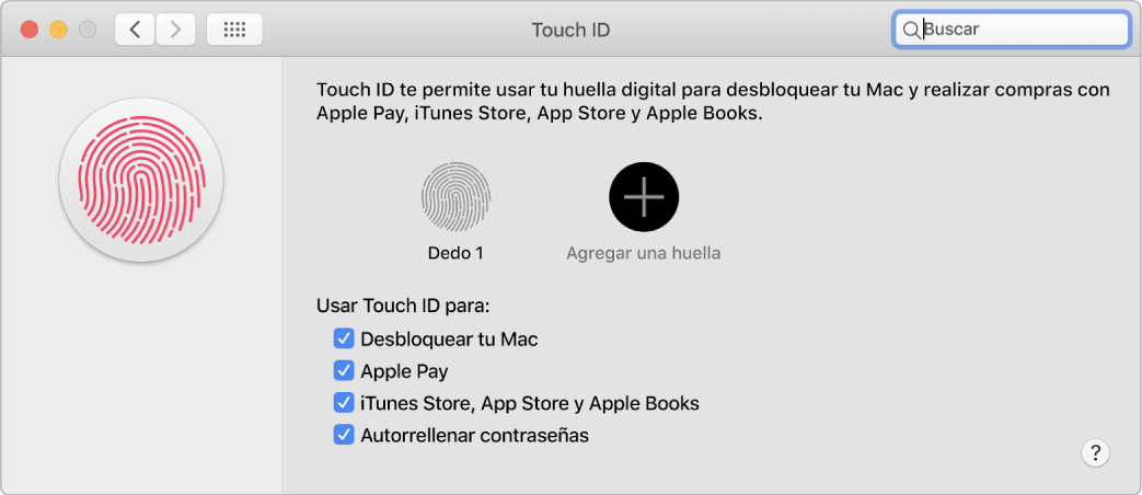 La ventana de preferencias de Touch ID con opciones para agregar una huella digital y usar Touch ID para desbloquear tu Mac, usar Apple Pay, y comprar en iTunes Store, App Store la tienda de Libros.