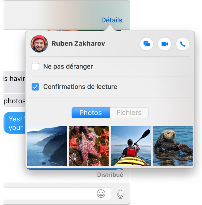 Capture d’écran partielle de la fenêtre de Messages et de son menu Détails.