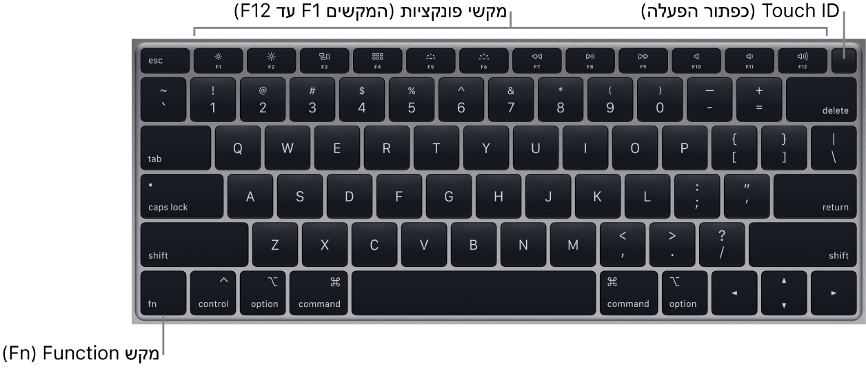 המקלדת של ה‑MacBook Air מציגה את שורת מקשי הפונקציה, את כפתור ההפעלה של Touch ID לאורך החלק העליון ואת מקש הפונקציה (Fn) משמאל למטה.