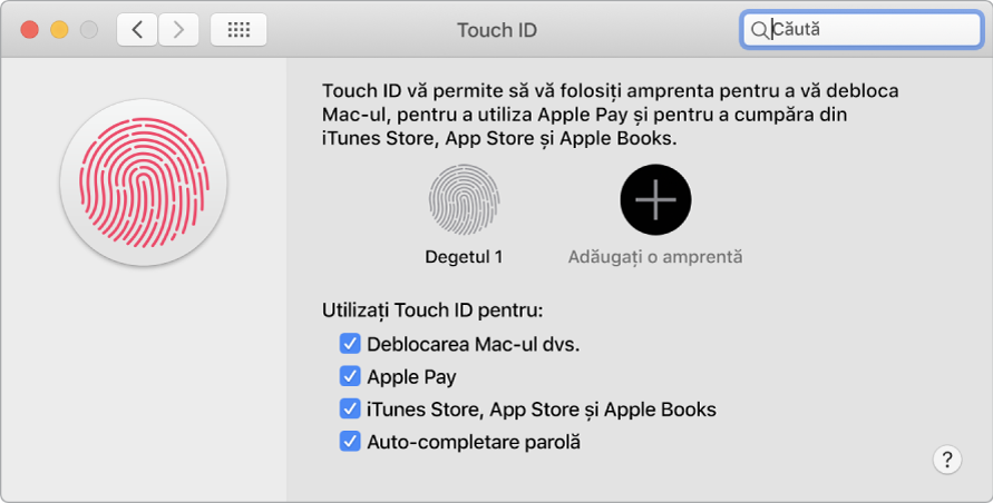 Fereastra cu preferințe Touch ID cu opțiuni pentru adăugarea unei amprente și utilizarea Touch ID pentru a vă debloca Mac-ul, utilizarea Apple Pay și cumpărarea din iTunes Store, App Store și Book Store.