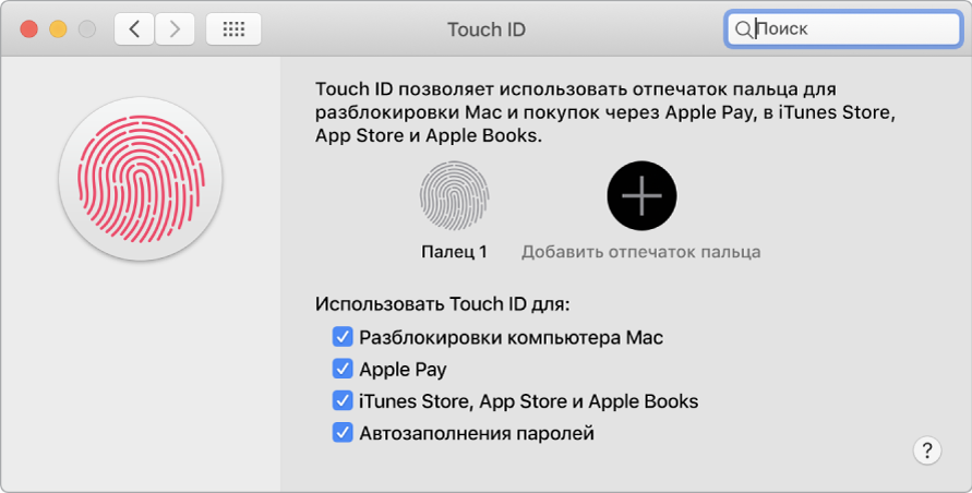 Окно настроек Touch ID с параметрами для добавления отпечатка пальца и использования Touch ID для разблокировки компьютера Mac, использования Apple Pay и совершения покупок в iTunes Store, App Store и Магазине книг.