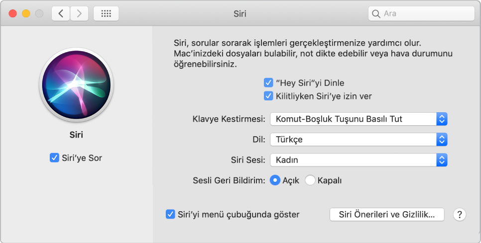 Sol tarafta Siri’ye Sor’u Etkinleştir seçili halde olan ve sağ tarafta “‘Hey Siri’yi Dinle” gibi çeşitli Siri’yi özelleştirme seçenekleri bulunan Siri tercihleri penceresi.