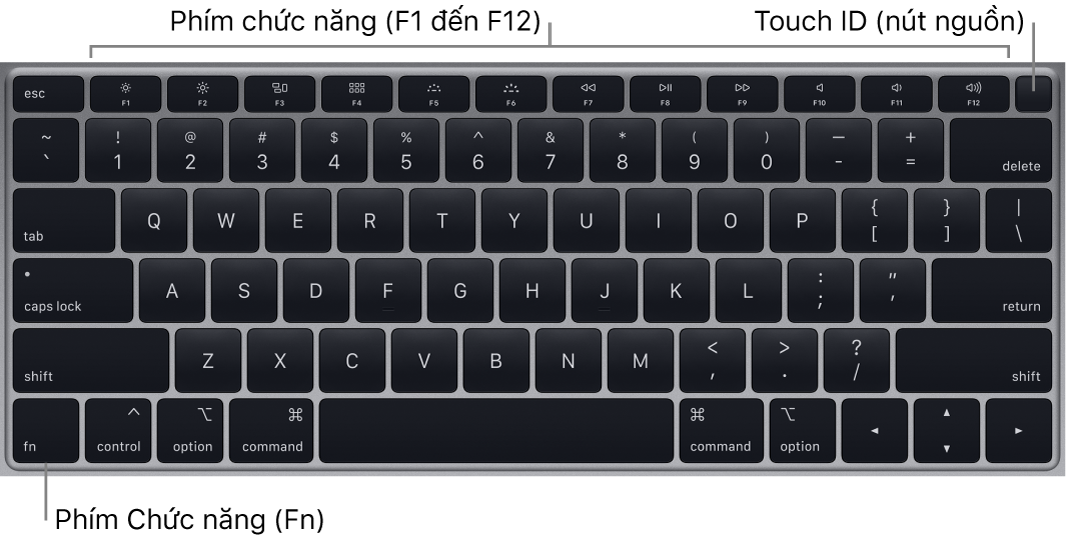 Bàn phím MacBook Air đang hiển thị hàng các phím chức năng, Touch ID, nút nguồn ở trên cùng và phím Chức năng (Fn) ở góc phía dưới bên trái.