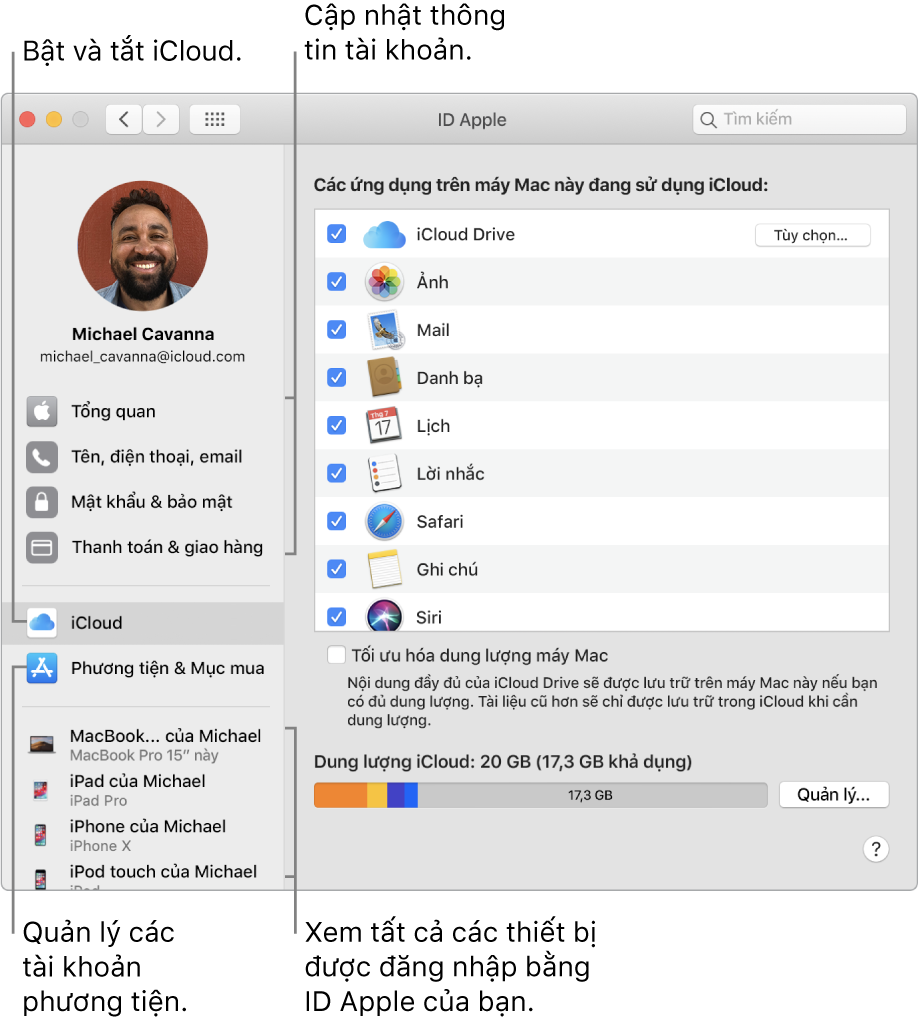 Khung ID Apple trong Tùy chọn hệ thống. Bấm vào một mục trong thanh bên để cập nhật thông tin tài khoản của bạn, bật hoặc tắt iCloud, quản lý các tài khoản phương tiện và xem tất cả các thiết bị được đăng nhập bằng ID Apple của bạn.