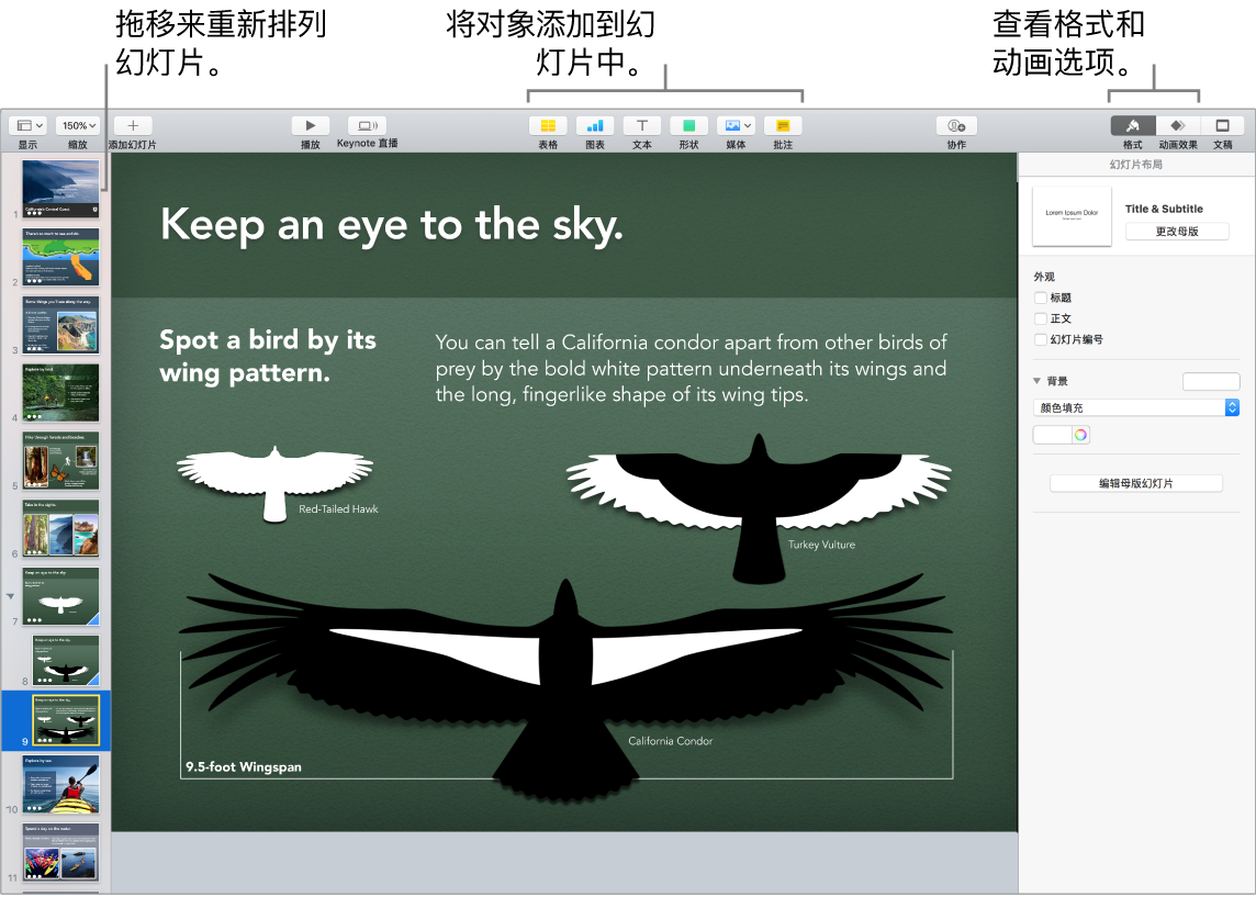 Keynote 讲演窗口，显示如何重新排列幻灯片，并指明用来将对象添加到幻灯片的按钮，包括格式化和动画选项。