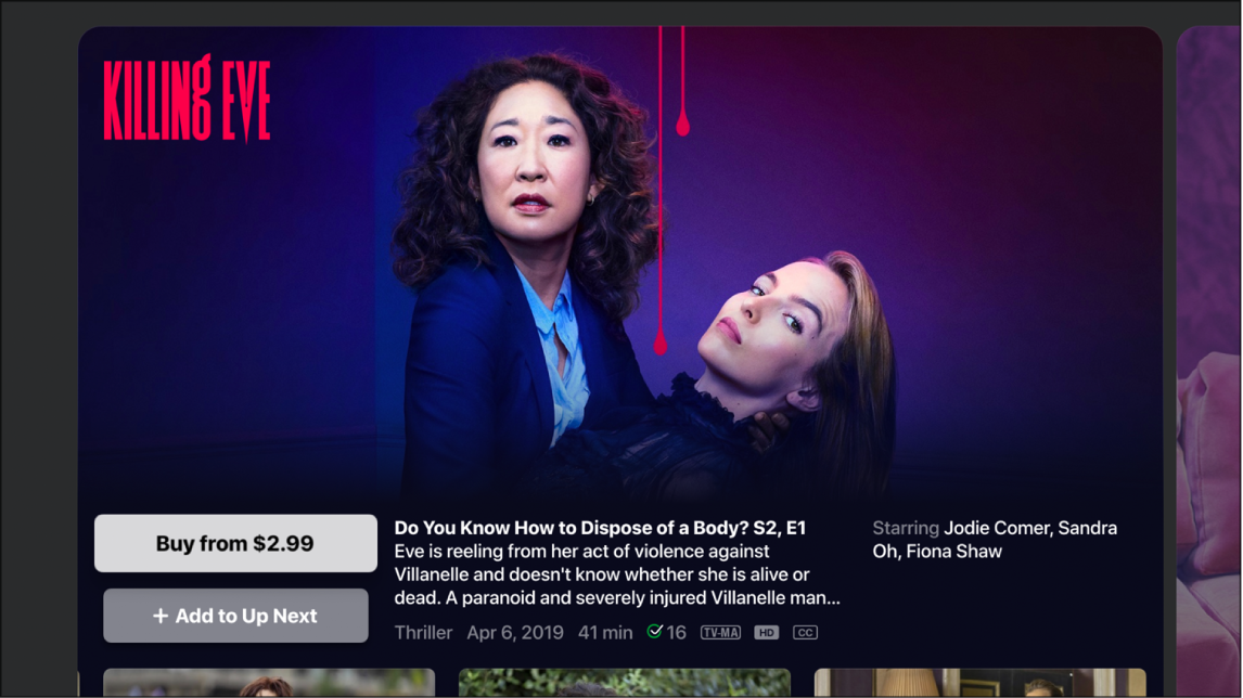 Infoskärm för TV-program