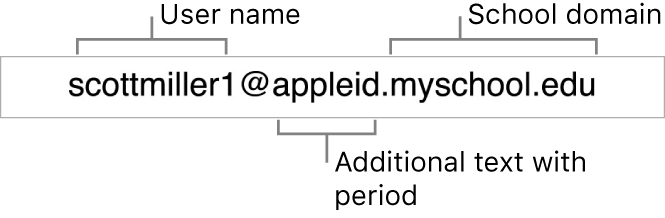 Apple School Manager Managed Apple ID example