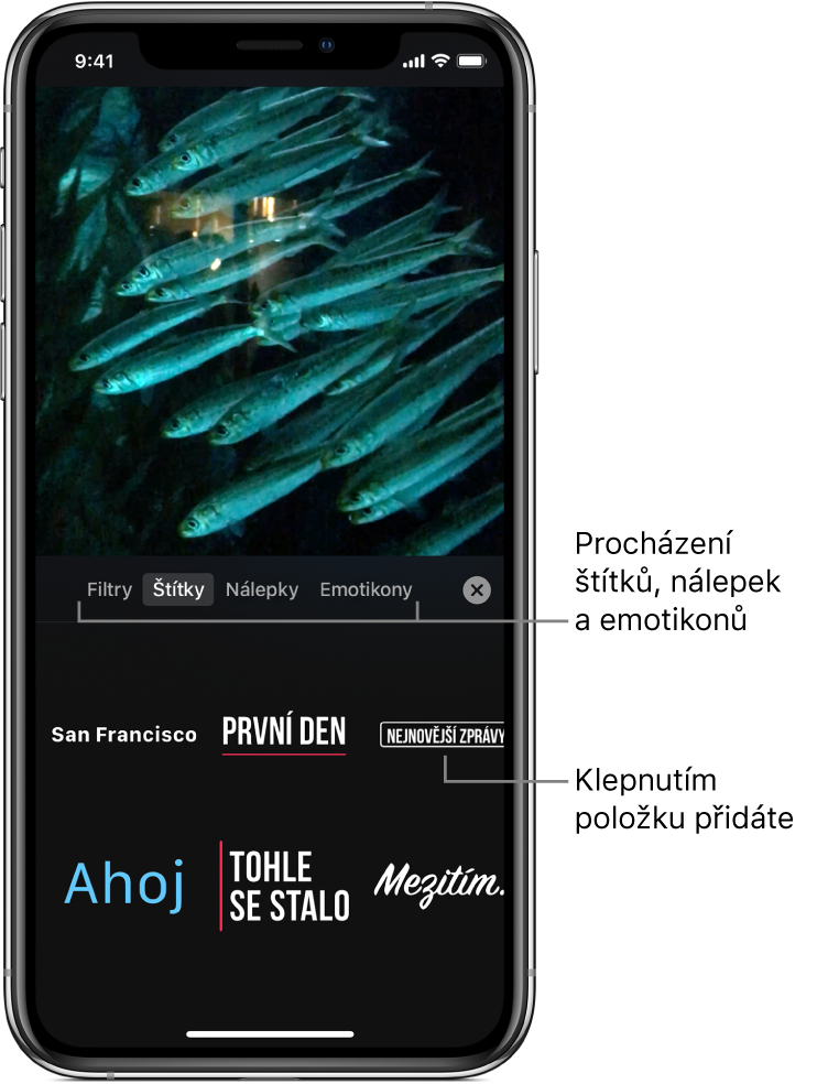 Snímek videa v prohlížeči s vybranou volbou Štítky; dole volby štítku