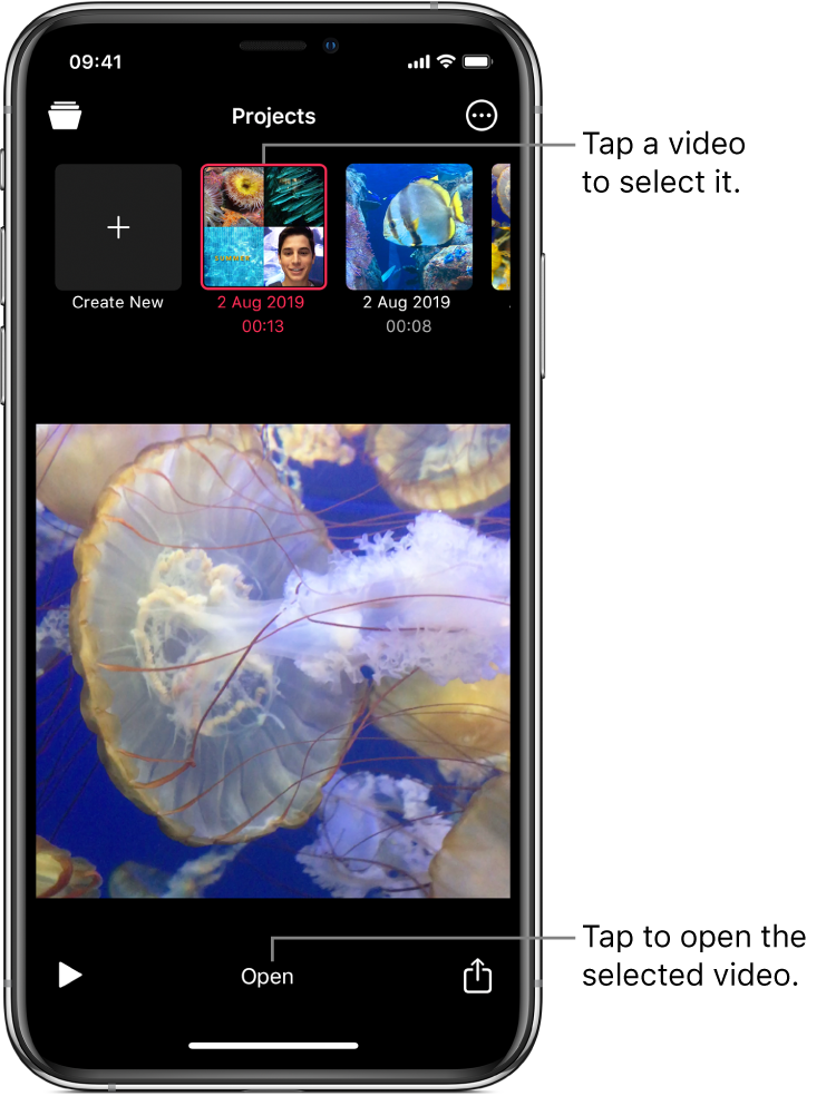 Project thumbnails above a video image in the viewer, with an Open button below.