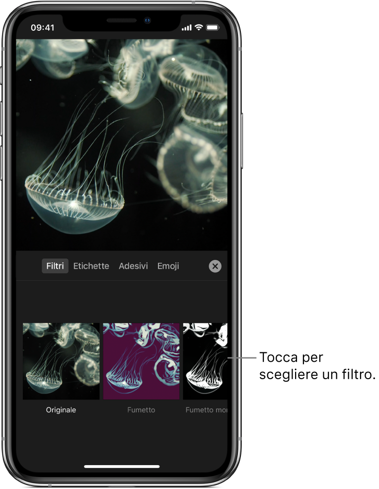 L'immagine di un video nel visualizzatore, con Filtri e il filtro Fumetto selezionati e altri filtri mostrati sotto.