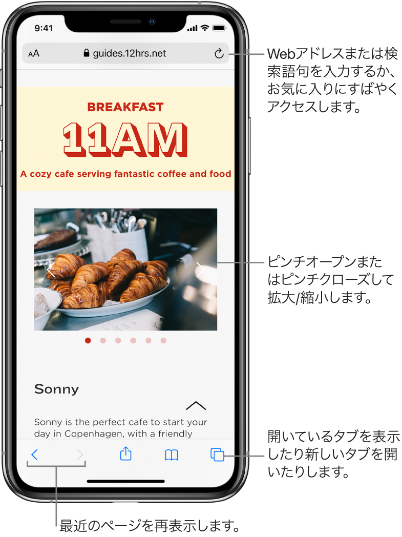 Safariのウインドウで開いたWebサイト。上部にアドレスフィールドが表示されています。下部には左から順に、戻る、進む、共有、ブックマーク、ページボタンがあります。